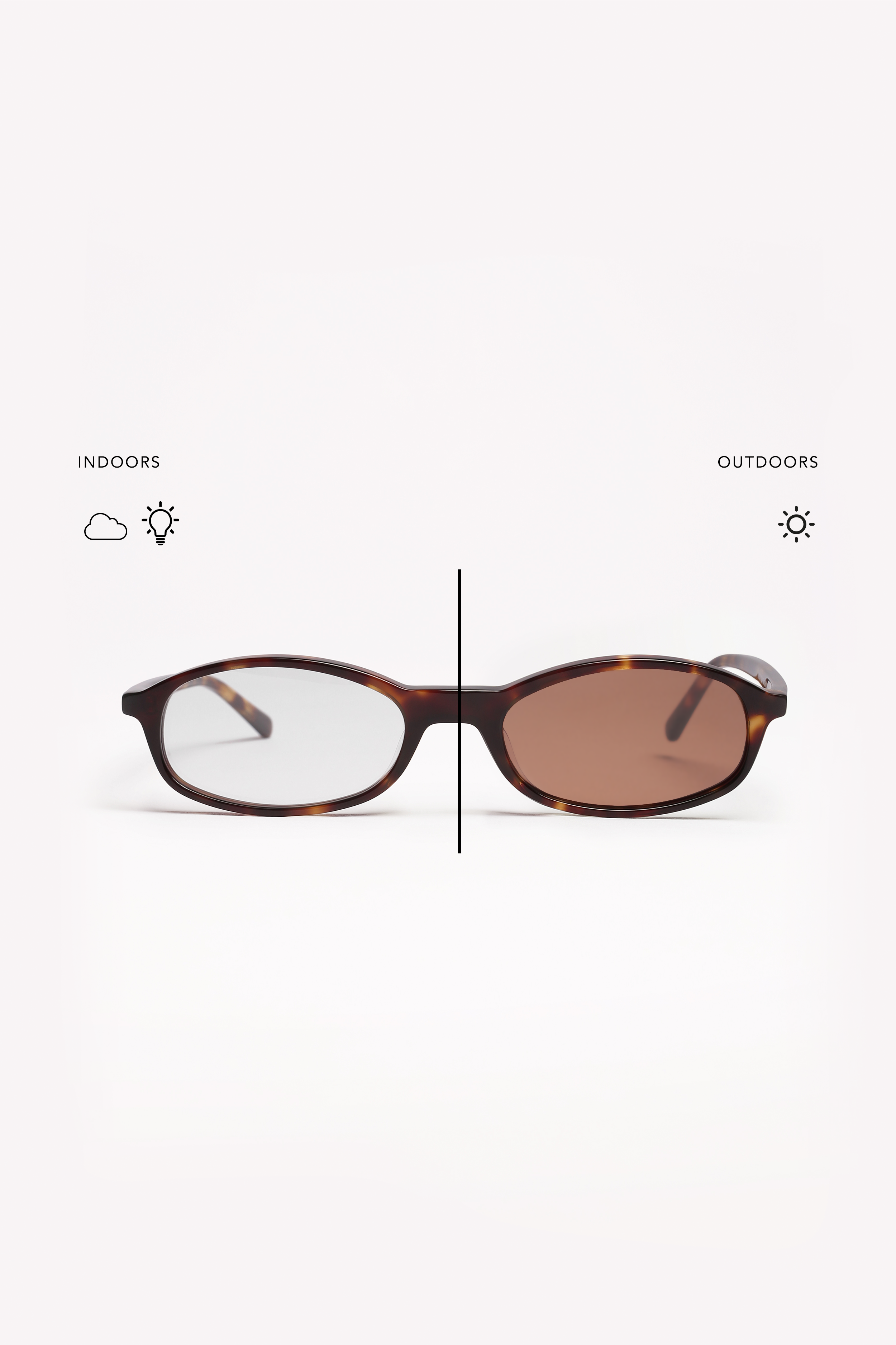 Shevoke Transition GINI Tortoise