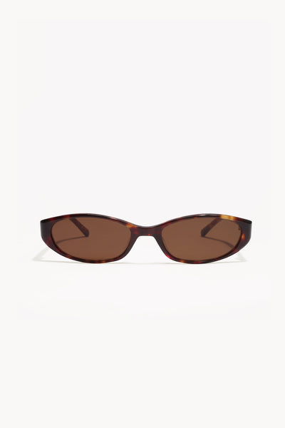 shevoke-silon-tortoise-  display picture 2