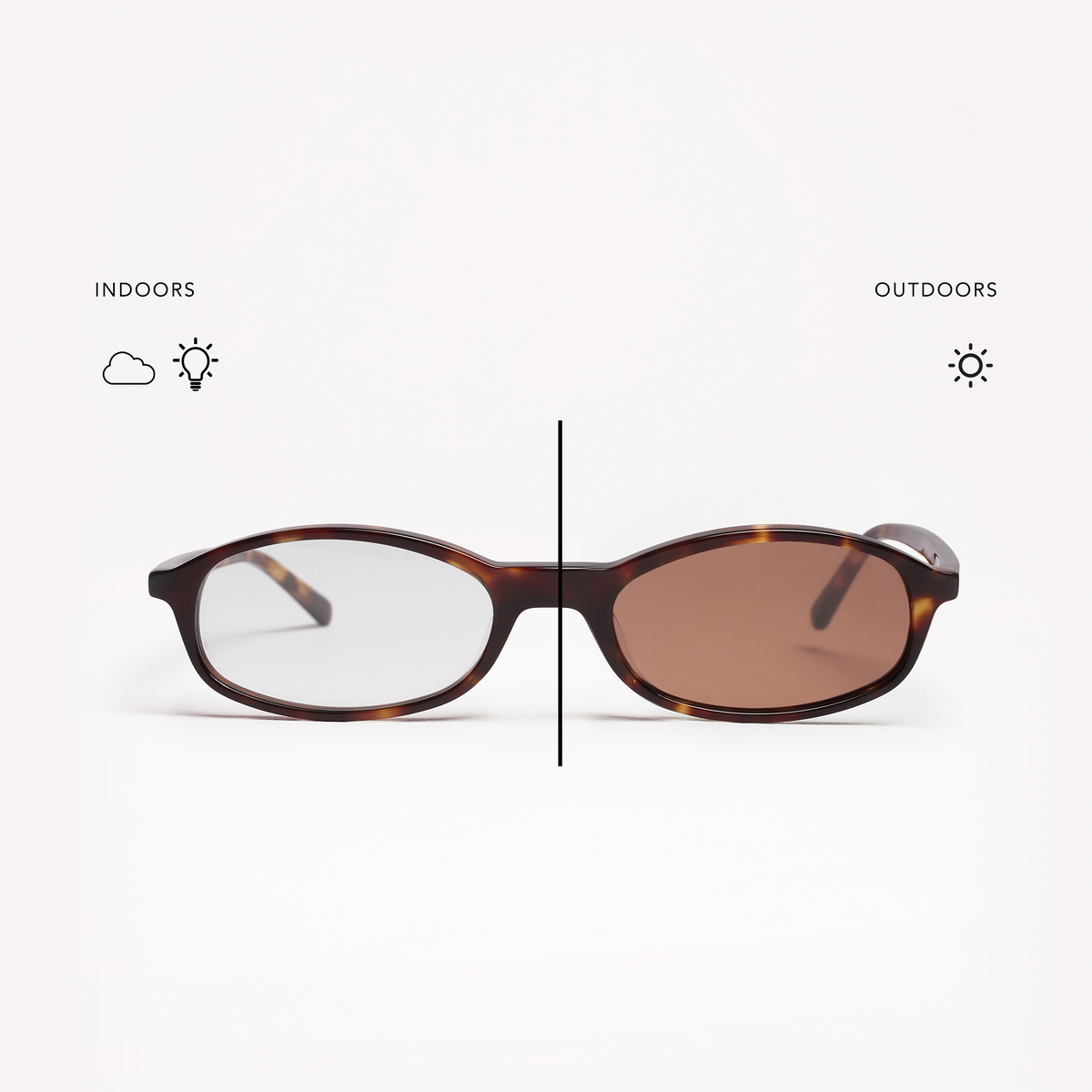 shevoke-transition-gini-